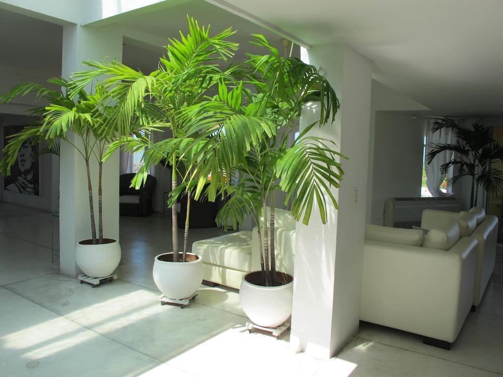 Апартаменты Penthouse Caribbean View And Private Pool, Картахена Экстерьер фото